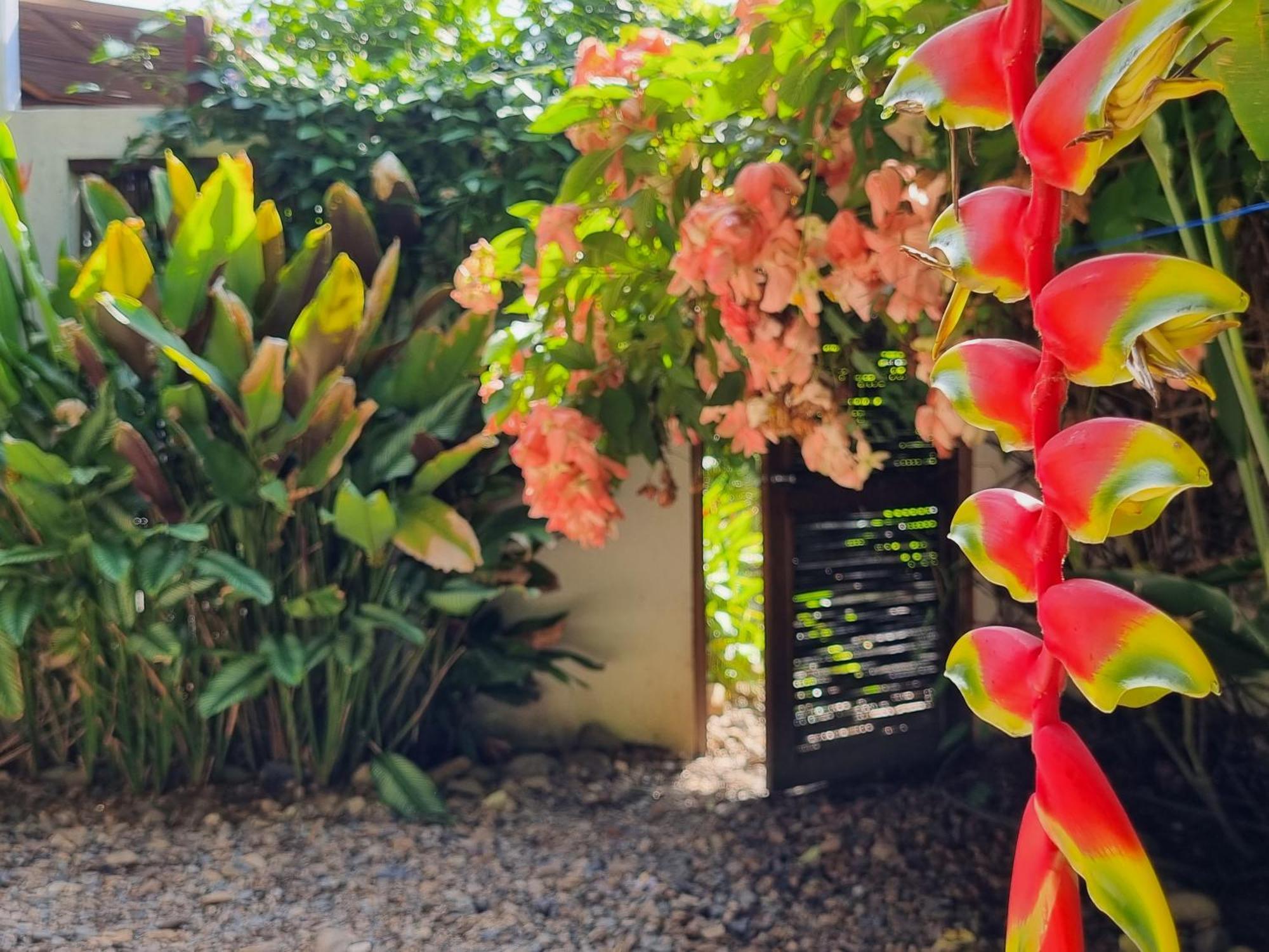 Casas La Floristeria Villa Palomino Dış mekan fotoğraf